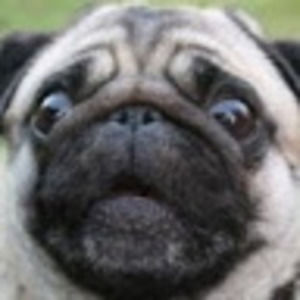 Meet your Posher, Alexander